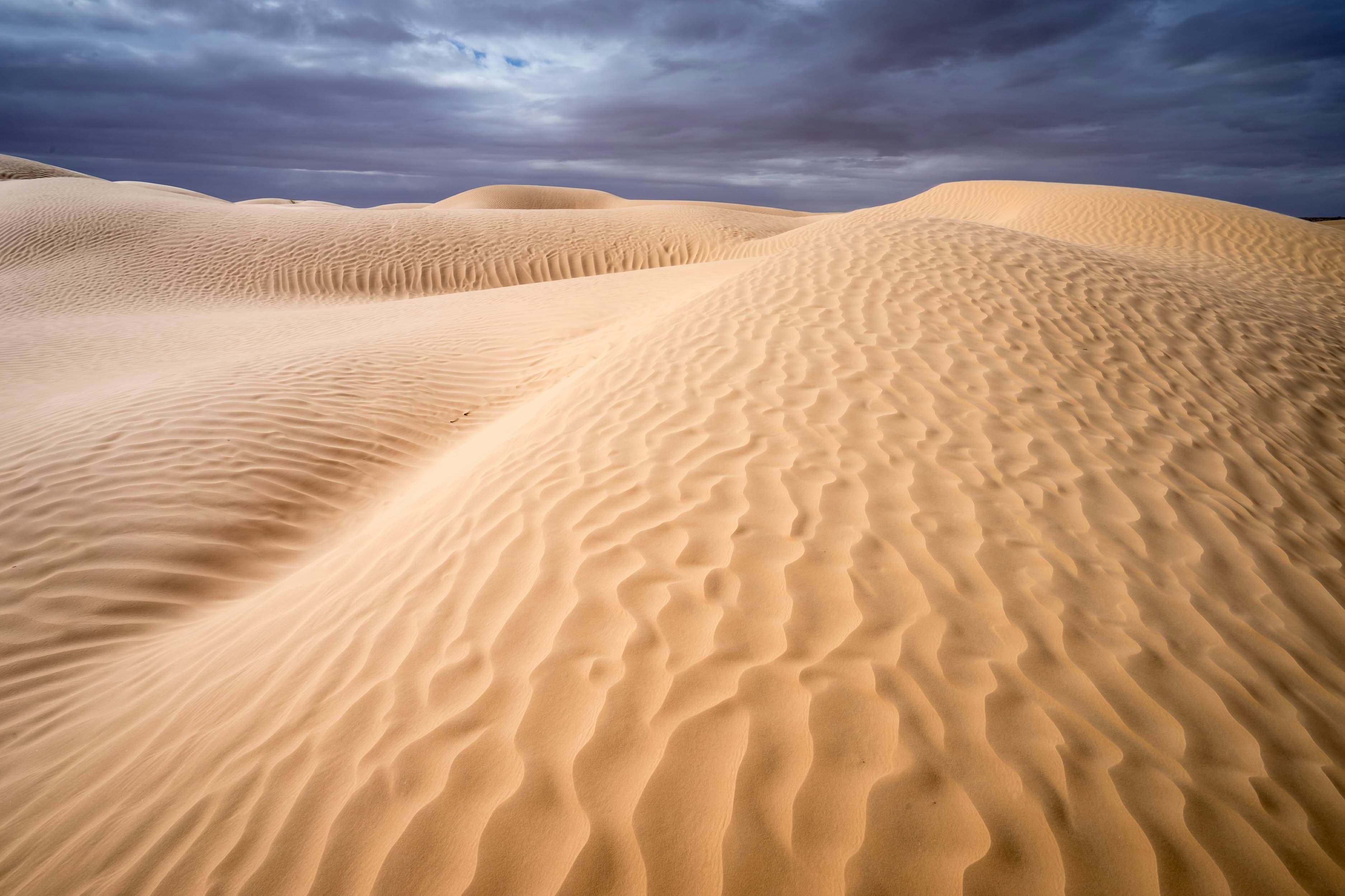 One Week in Tunisia: Ultimate 7-Day Itinerary from Medinas to Sahara