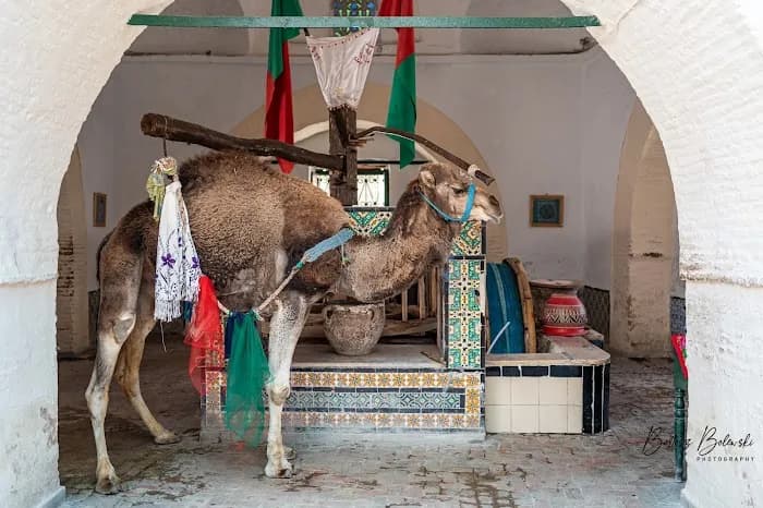 Intérieur de Bir Barouta dans la médina