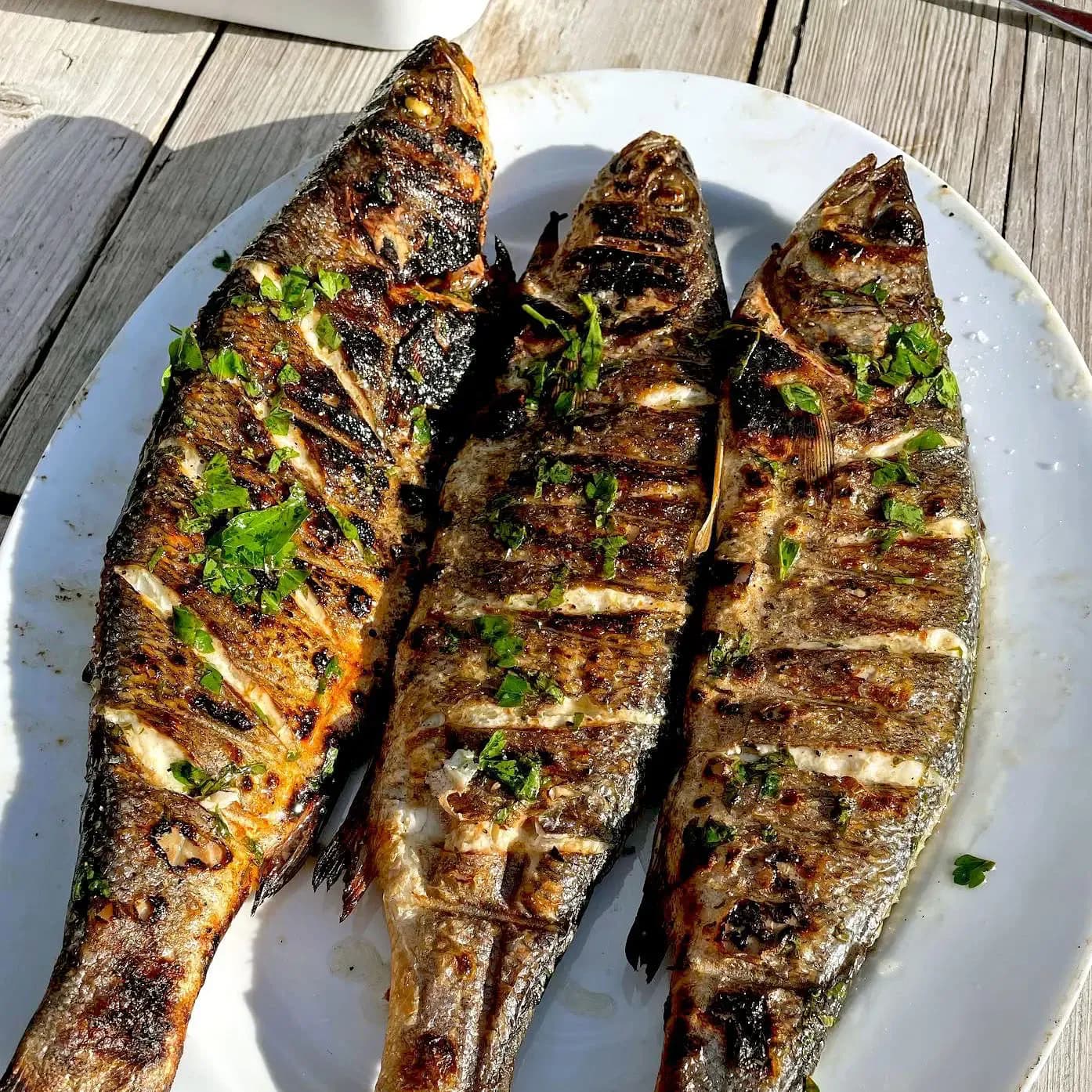 Poissons grillés du jour servis avec citron et tastira