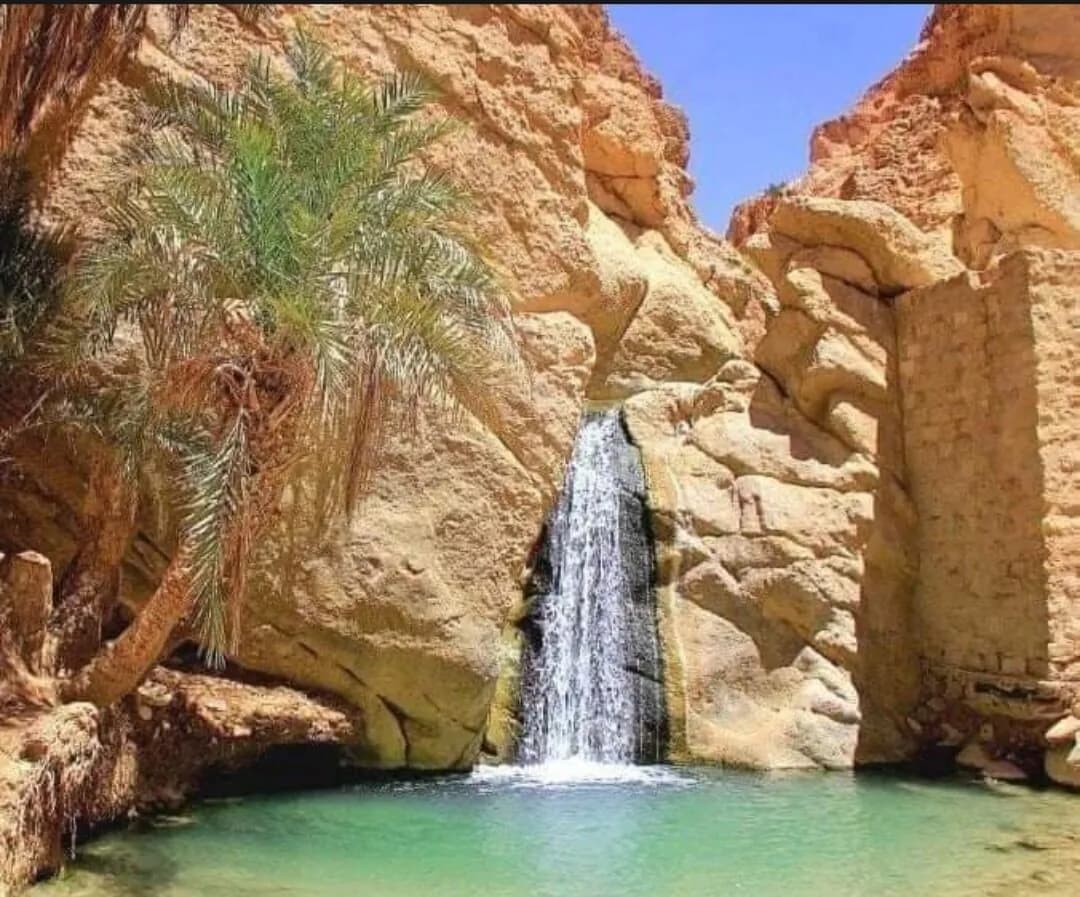 Cascade et palmeraie de l'oasis de montagne de Chebika
