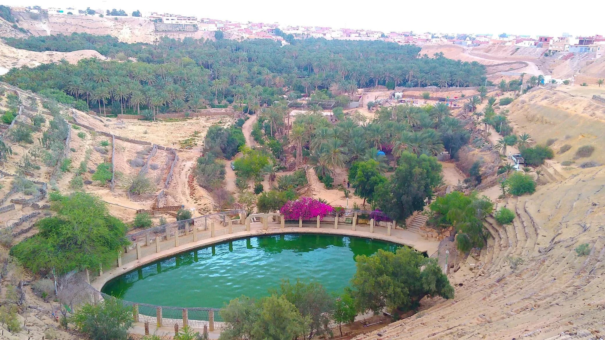 Vue plongeante sur la Corbeille de Nefta et sa palmeraie