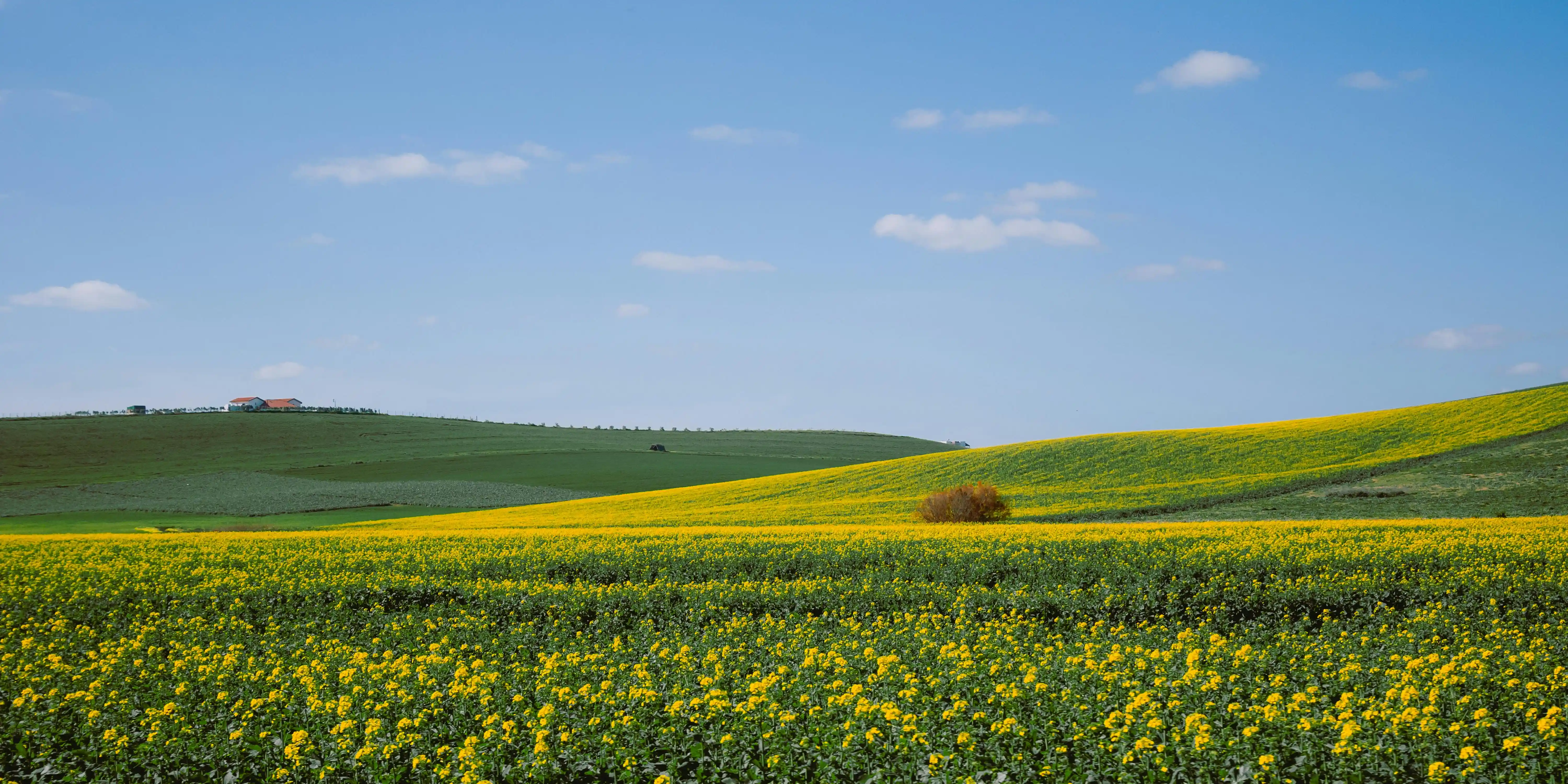 Top 10 Must-Visit Places in Tunisia (2025 Edition)